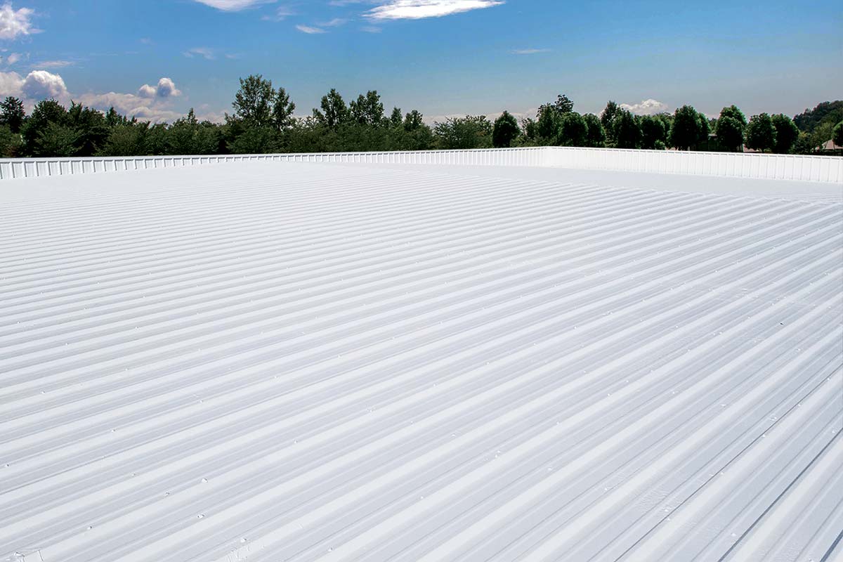 Insurance Claim Roof Documentation Tampa Commercial